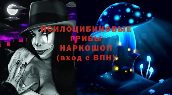 спиды Пестово