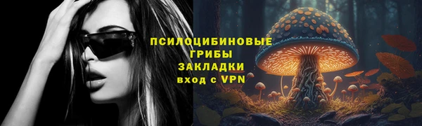 ешки Пересвет