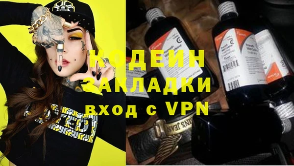 ешки Пересвет