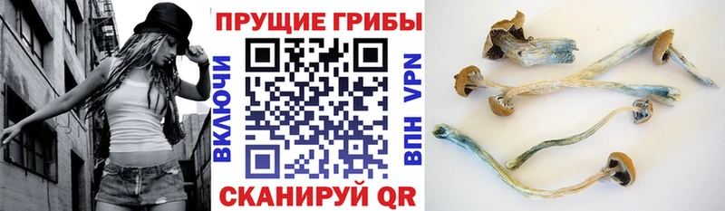 mega tor  Туран  Галлюциногенные грибы Magic Shrooms 
